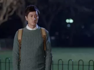 致青春 10集