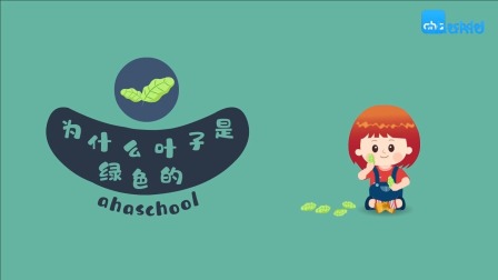麦奇的为什么 百科动物篇 22集