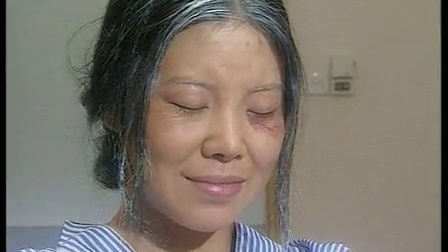 东方母亲 13集