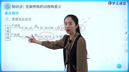学王课堂 人教版高中生物学必修1（分子与细胞） 20集