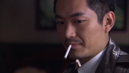 掩护 15集