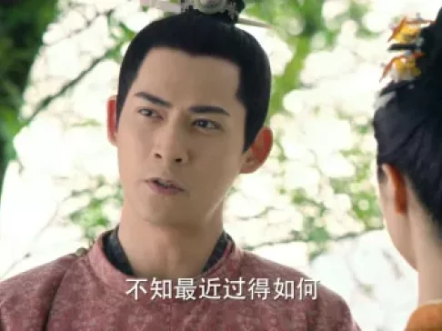 柜中美人 13集