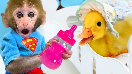 小猴子啵啵 第7季 3集