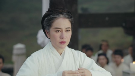 谯国夫人 33集