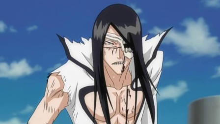 bleach 境&middot;界 虚圈大战篇 39集