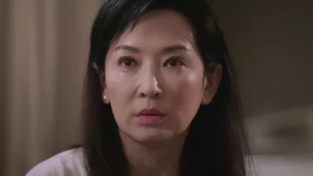 飞虎之潜行极战 12集