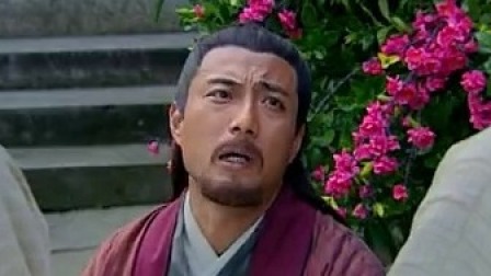 神医大道公 26集