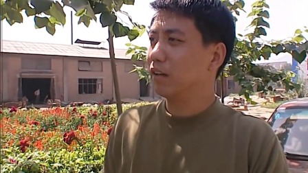 命案十三宗 3集
