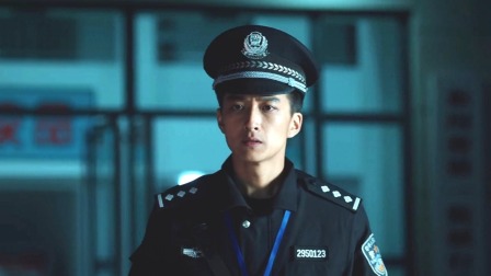 巡回检察组 DVD版 34集
