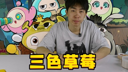 苦瓜的史莱姆乐园 38集