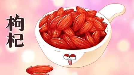 我是不白吃之美食趣胃计划 5集