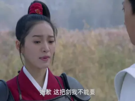 最佳女配 20集