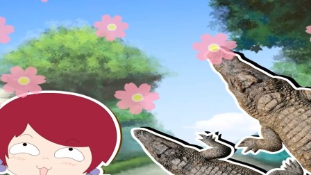 绘本动物科普小课堂 14集