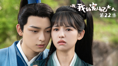 哦，我的宠妃大人 22集