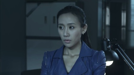 特案追缉 5集