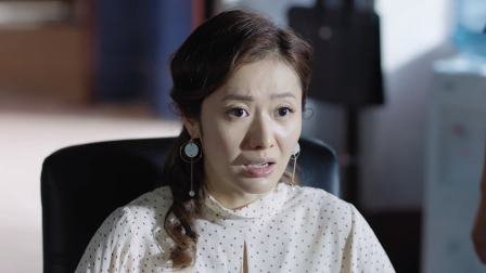 小镇警事 29集