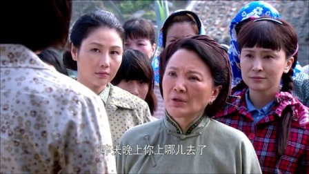 望海的女人 12集