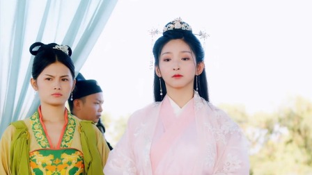 丑女医妃 5集