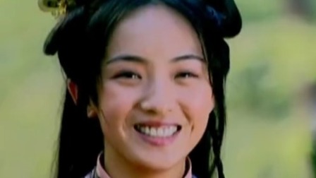 少年杨家将 35集