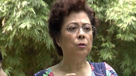 外来媳妇本地郎10 241集