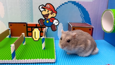 仓鼠马里奥大冒险 45集