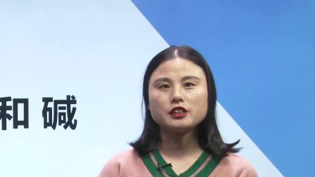 初中化学 九年级下册化学初三人教版2021 17集