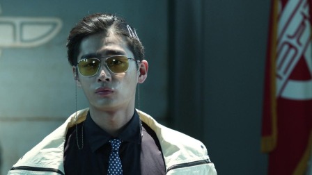 假面骑士利维斯 中配版 39集