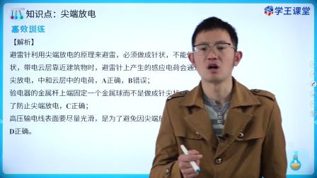 学王课堂 人教版高中物理必修第三册 6集