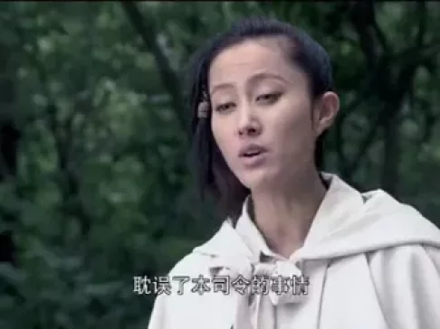 剿匪英雄 12集