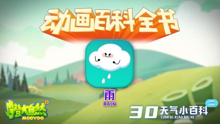 大自然里面的小百科 6集