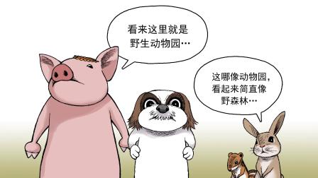 动物园真相 第2季 49集