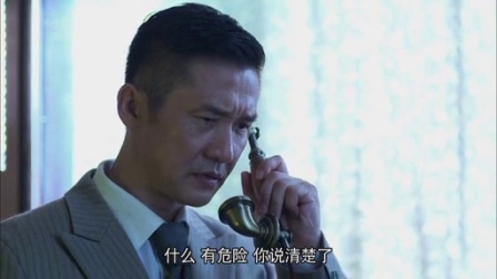 我的绝密生涯 34集