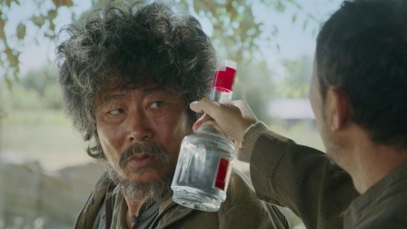 枫叶红了 16集