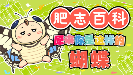 肥志百科 第13季 5集