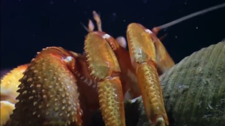 超级镜头：海面之下 2集