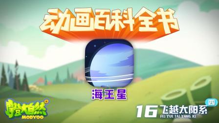 大自然里面的小百科 4集