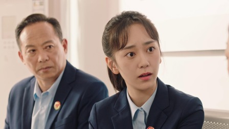 司法所里的故事 35集