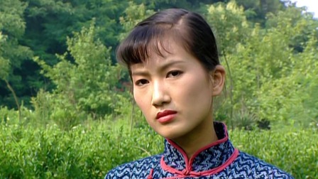 扬州八怪 16集