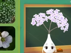 田小艾幼儿识字：花朵篇 16集