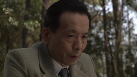 黎明前的暗战 9集