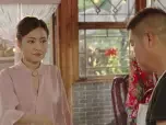 刘老根 第三部 28集