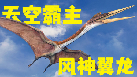 工程车探索恐龙动物世界 第二季 3集