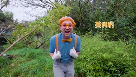 布利比 4集