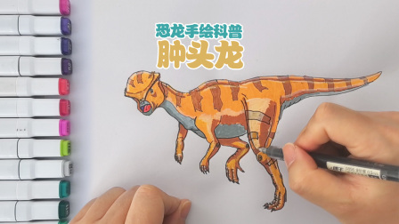 丁丁鸡画恐龙 66集