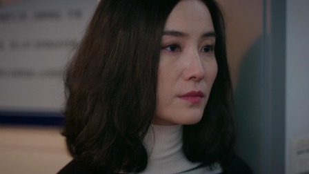 盛装 22集