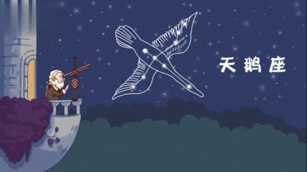 小小鲨科学课堂 大班 17集