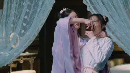 弃妃倾城 10集