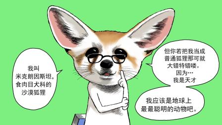 动物园真相 第2季 1集