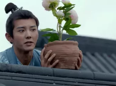 大唐女法医 5集