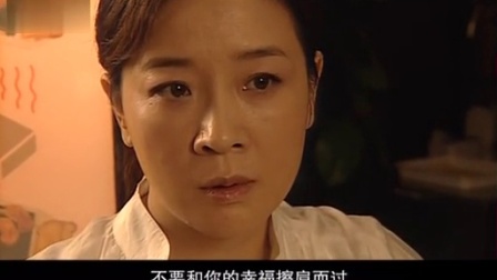 复婚 22集